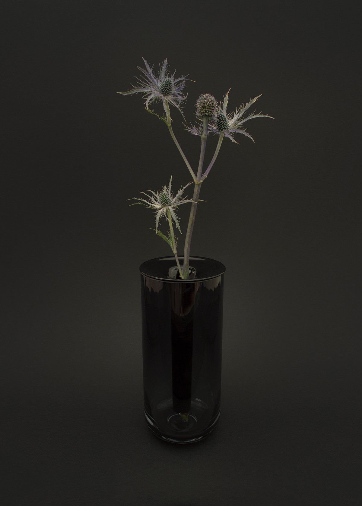 Kukalle, Antonio Gurrola & Dario Vidal