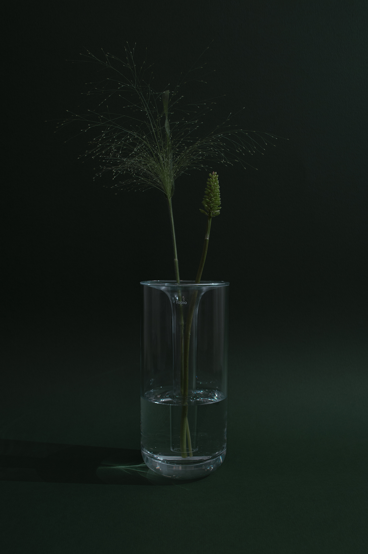 Kukalle, Antonio Gurrola & Dario Vidal